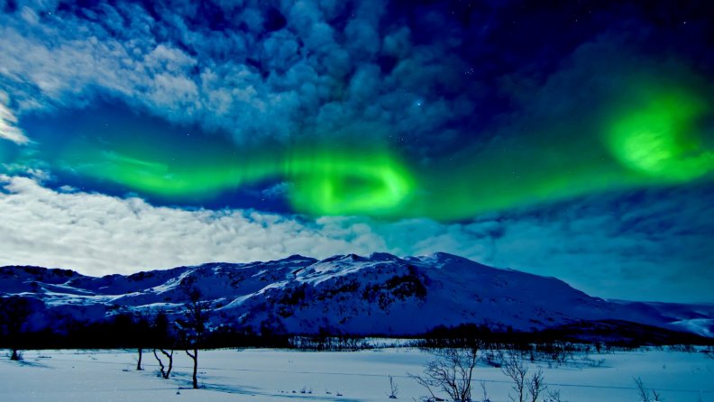 aurora_borealis_in_a_winter_night_sky.jpg