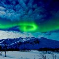 aurora borealis in a winter night sky
