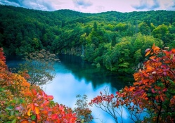 lake in a wondrous forest