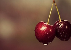 Wet Cherries