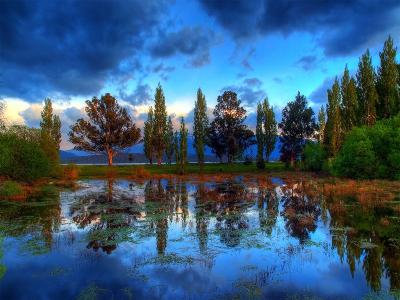 reflection_of_trees_in_lake.jpg
