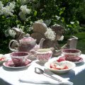 Lilacs Garden Tea Party