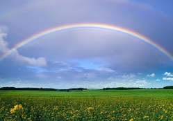 A rainbow