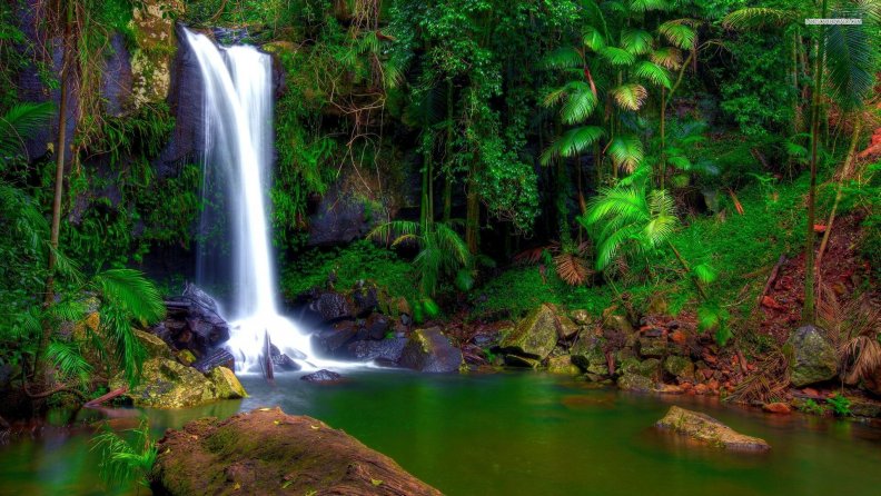waterfall_in_the_jungle.jpg