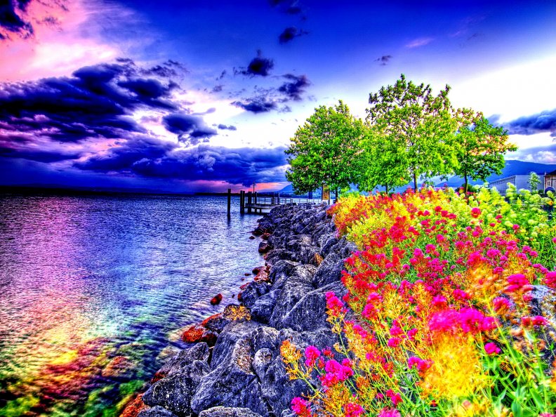 Coastal Color Harmony