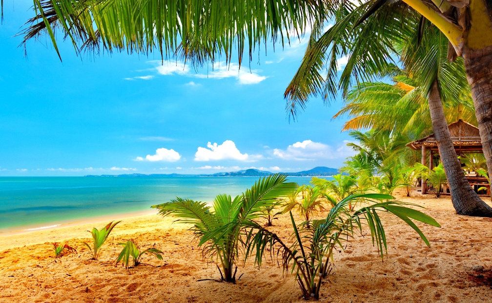 Tropical beach