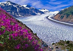 Salmon Glacier, BC, Canada