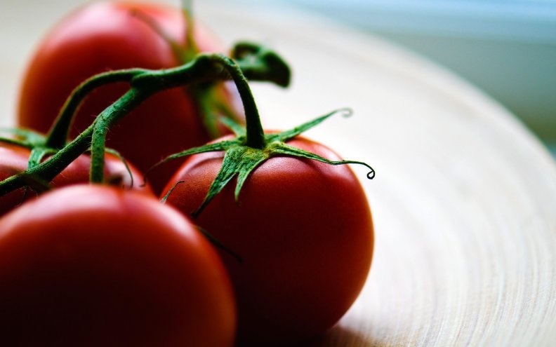 fresh_tomatoes.jpg