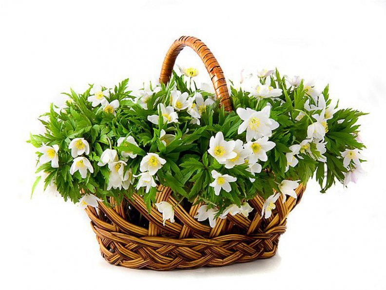 basket_of_flowers.jpg
