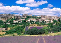 french hillside town surrounded by lavender fields