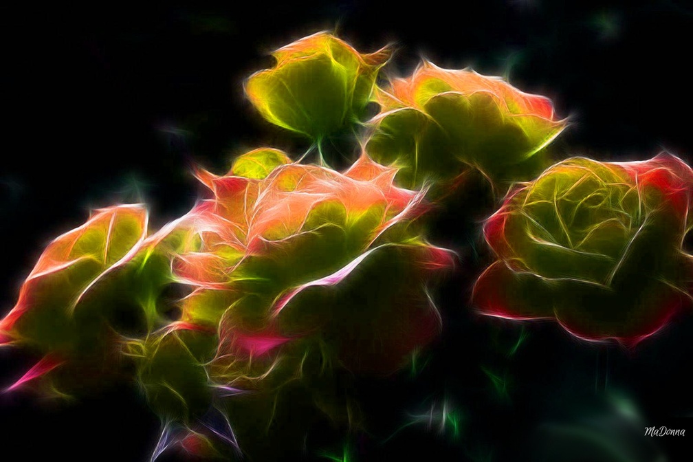 Bright Fractal Roses