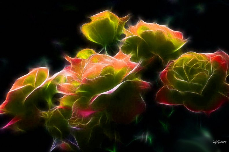 bright_fractal_roses.jpg