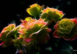 Bright Fractal Roses