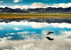 Beautiful Lake In The Heights Of Tibet