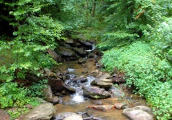 Small Waterfall Creek in North Georgia, USA