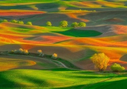 colorful countryside