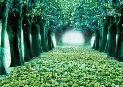Green path
