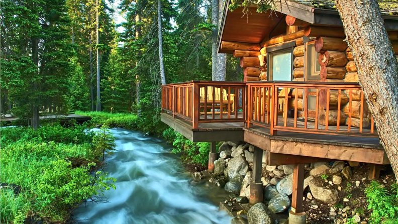forest_stream_by_the_back_porch_hdr.jpg