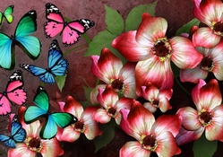 Colorful Butterflies Flowers