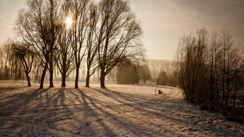 a_hazy_winter_day_in_the_park.jpg