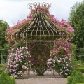Rose Garden Trelis