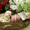 daisies and teacups