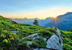 Sunrise At The Swiss Alps