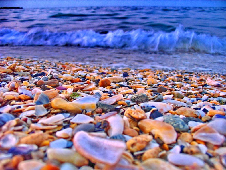 shells_and_rocks_on_the_beach.jpg