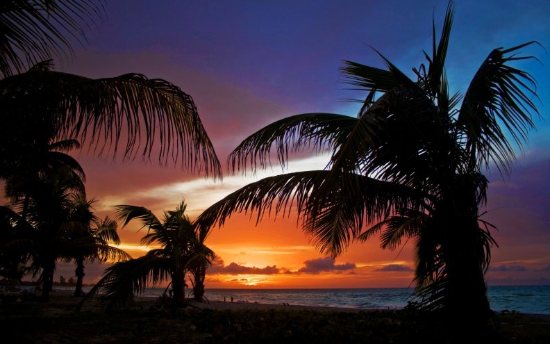 tropical_sunset.jpg