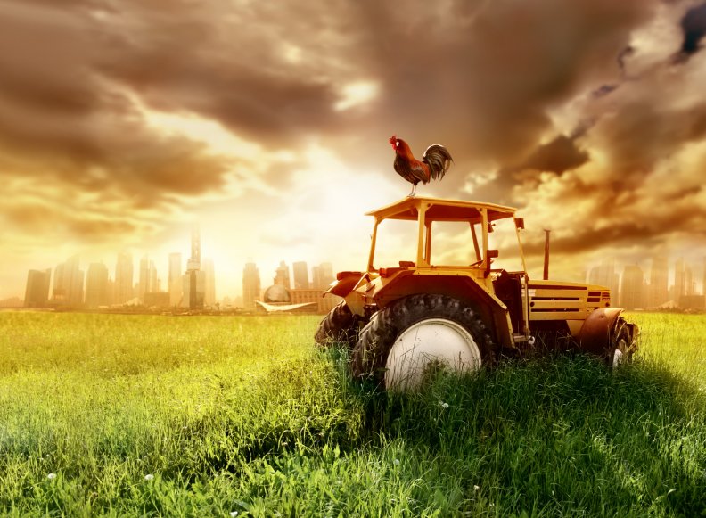 farm_tractor.jpg