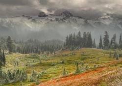 awesome foggy landscape hdr