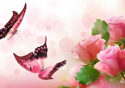 Butterflies Pink Roses