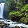 wonderful forest waterfall