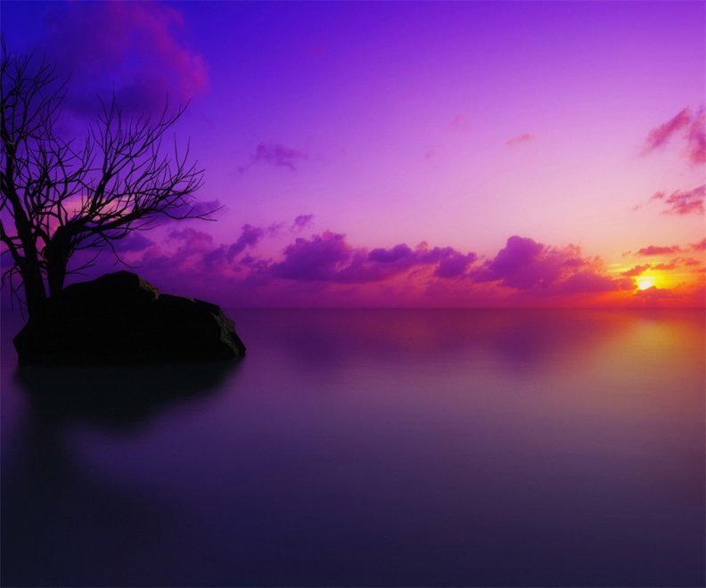 Misty Purple Sunset
