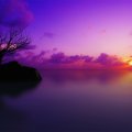 Misty Purple Sunset