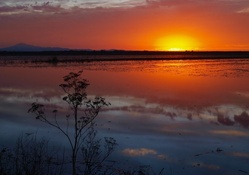amazing sunset over a marsh