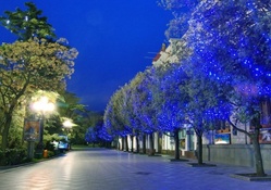 row of lit trees at entrance to a park