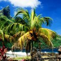 Hatiheu Beachfront, Nuku Hiva, Marquesas