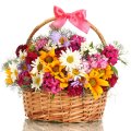 * Basket of flowers *