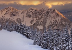 beautiful mountain landscape in winter