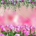 ~*~ Pink Flowery Field ~*~