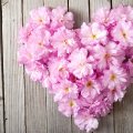 ♥Floral Heart♥