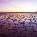 the great salt lake at dawn