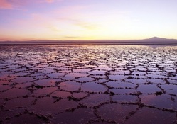 the great salt lake at dawn