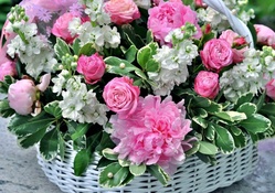* Beautiful bouquet _ for my friends*