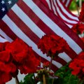 Beautiful Flag and Flowers