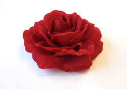 Rich_Red Rose on White