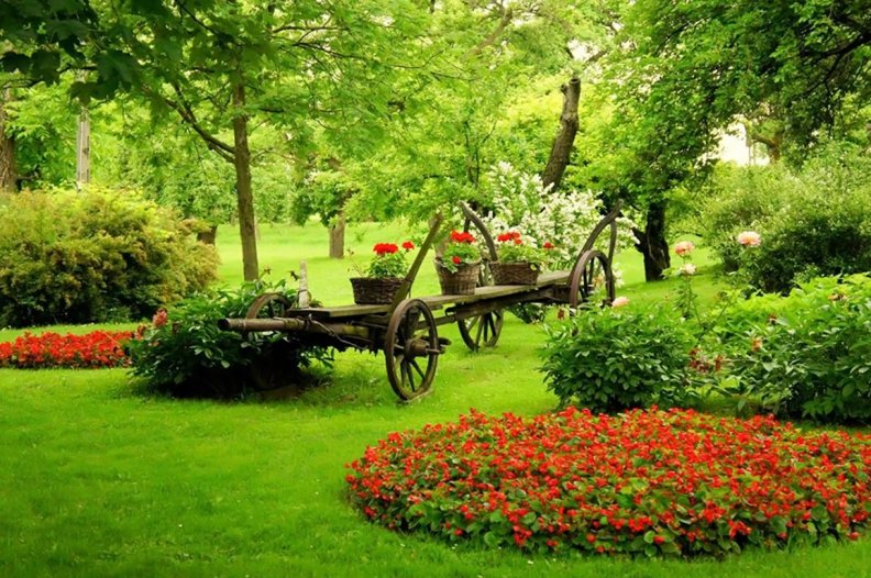 beautiful_garden.jpg