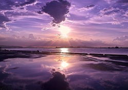 purple sunset scene