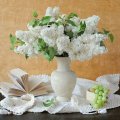 vase of white lilacs